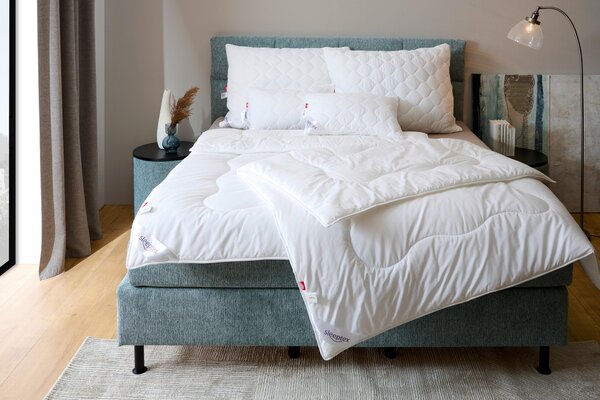 VANKÚŠ POD HLAVU, 70/90 cm Sleeptex - Prikrývky & vankúše
