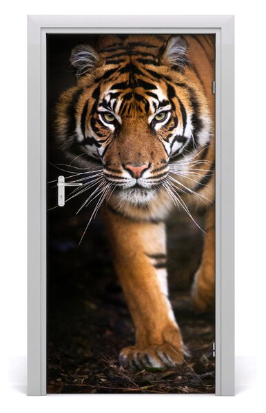 Fototapeta samolepiace na dvere tiger 95x205 cm