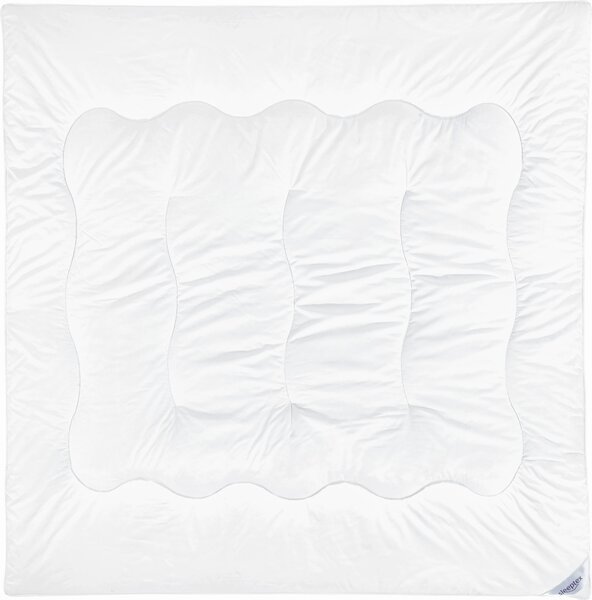 CELOROČNÁ PRIKRÝVKA, 200/200 cm, polyester Sleeptex - Prikrývky & vankúše