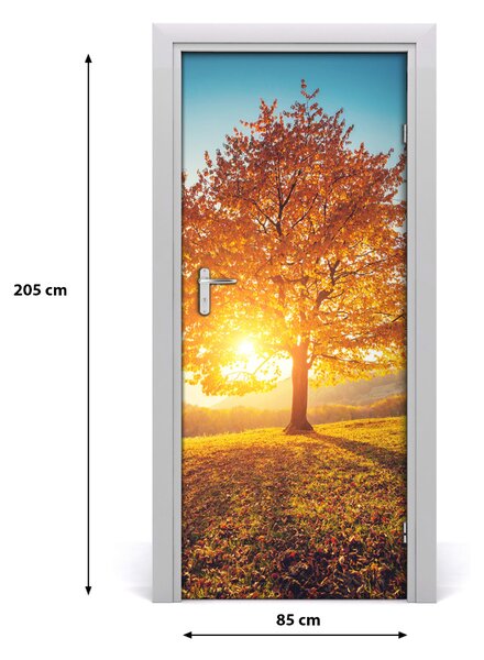 Fototapeta samolepiace na dvere jeseň drevo 85x205 cm