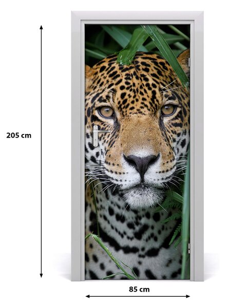 Fototapeta samolepiace na dvere Amazónie jaguár 85x205 cm