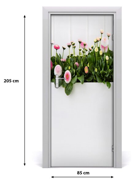 Fototapeta samolepiace ružové sedmokrásky 85x205 cm