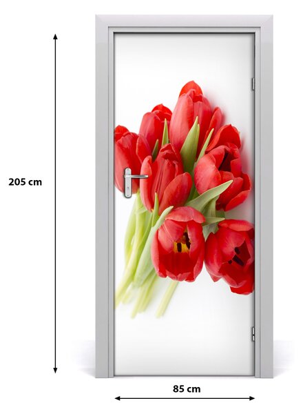 Fototapeta samolepiace červené tulipány 85x205 cm