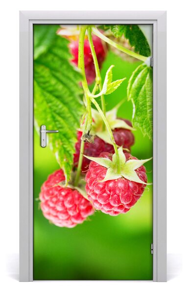 Fototapeta na dvere samolepiace maliny 95x205 cm
