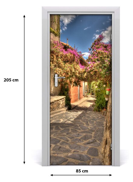 Fototapeta samolepiace dvere francúzskej uličky 85x205 cm