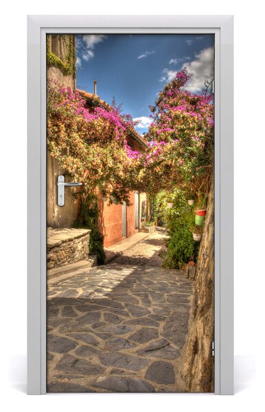 Fototapeta samolepiace dvere francúzskej uličky 95x205 cm