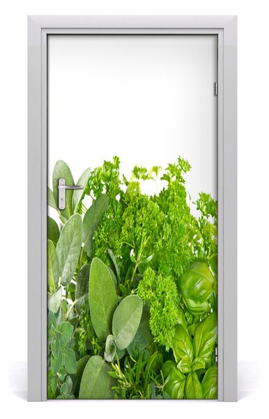 Fototapeta na dvere do domu samolepiace bylinky 95x205 cm