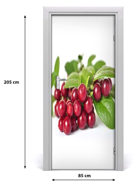 Fototapeta na dvere do domu samolepiace čučoriedka 85x205 cm