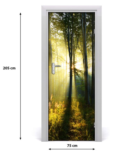 Fototapeta samolepiace na dvere les príroda 75x205 cm