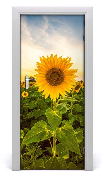 Fototapeta samolepiace dvere pole slnečníkov 85x205 cm