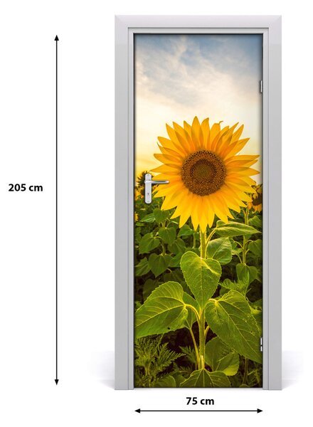 Fototapeta samolepiace dvere pole slnečníkov 75x205 cm