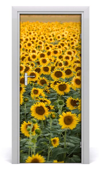 Fototapeta samolepiace dvere pole slnečníkov 85x205 cm