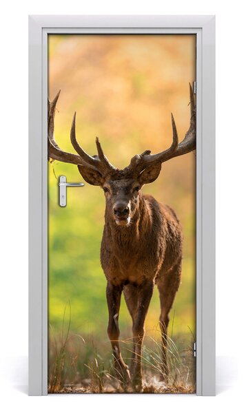 Fototapeta samolepiace na dvere jeleň v lese 85x205 cm