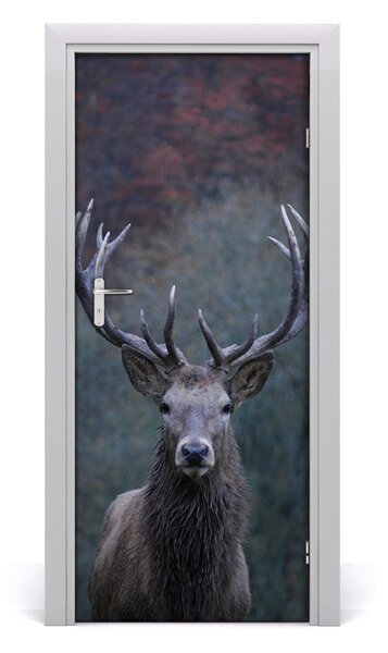 Fototapeta samolepiace na dvere jeleň príroda 85x205 cm