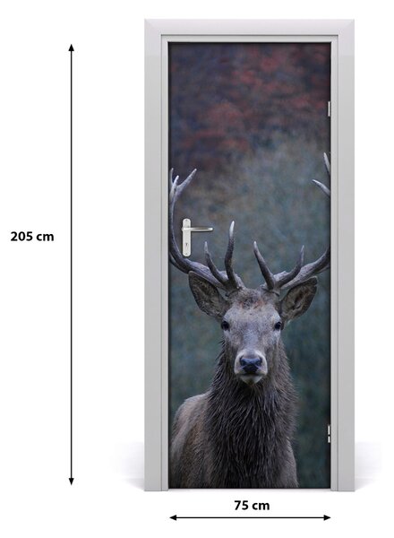 Fototapeta samolepiace na dvere jeleň príroda 75x205 cm