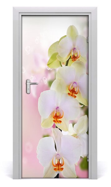 Samolepiace fototapety na dvere biela orchidea 85x205 cm