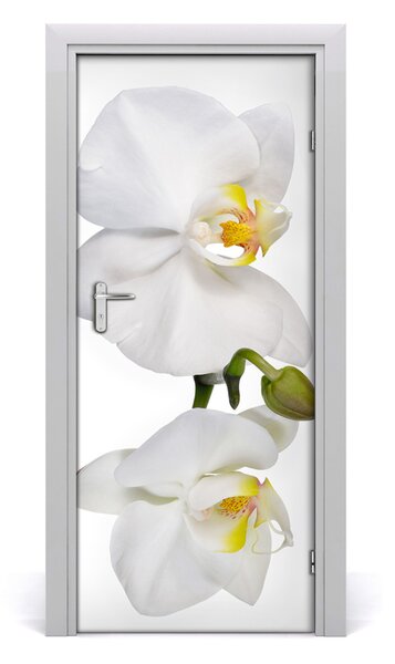 Samolepiace fototapety na dvere biela orchidea 85x205 cm