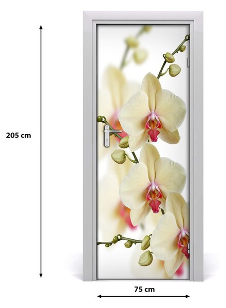 Samolepiace fototapety na dvere orchidea 75x205 cm