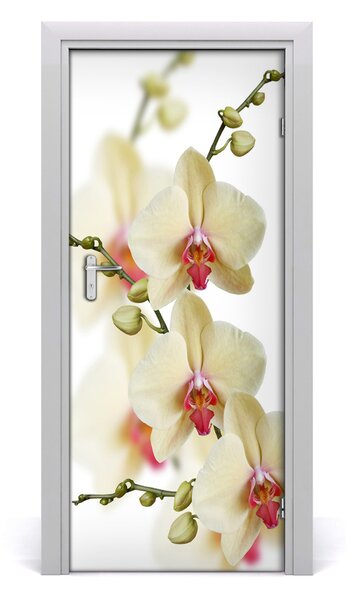 Samolepiace fototapety na dvere orchidea 85x205 cm
