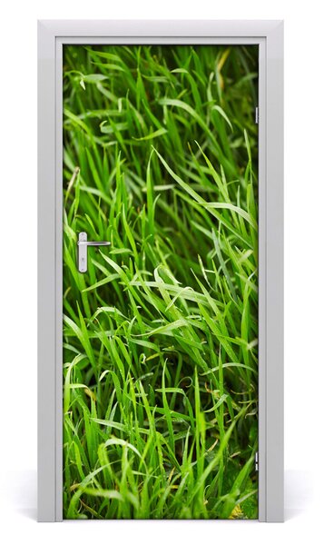 Samolepiace fototapety na dvere tráva 85x205 cm