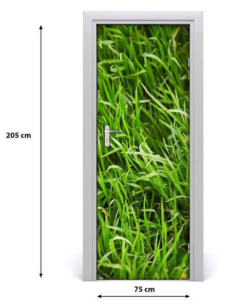 Samolepiace fototapety na dvere tráva 75x205 cm