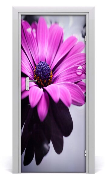 Samolepiace fototapety na dvere ružová gerbera 85x205 cm