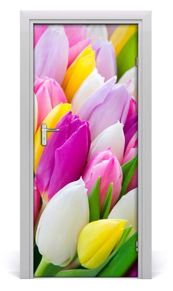 Samolepiace fototapety na dvere farebné tulipány 85x205 cm