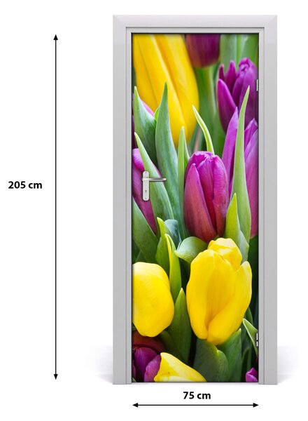 Samolepiace fototapety na dvere farebné tulipány 75x205 cm