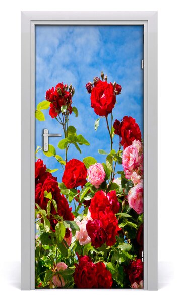 Samolepiace fototapety na dvere divoká ruža 85x205 cm
