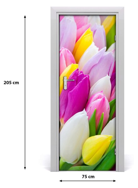 Samolepiace fototapety na dvere farebné tulipány 75x205 cm