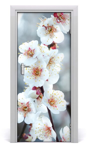 Samolepiace fototapety na dvere kvety višne 85x205 cm