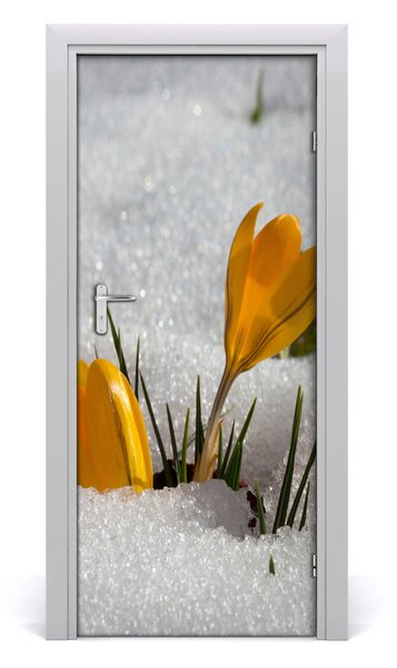 Samolepiace fototapety na dvere žlté krókusy 85x205 cm