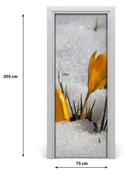 Samolepiace fototapety na dvere žlté krókusy 75x205 cm