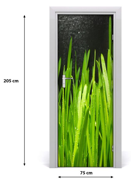 Fototapeta na dvere tráva 75x205 cm