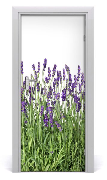 Fototapeta na dvere levanduľa polia 85x205 cm