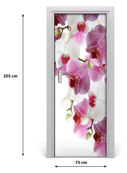 Fototapeta na dvere orchidea 75x205 cm