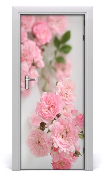 Fototapeta na dvere divoká ruža 85x205 cm
