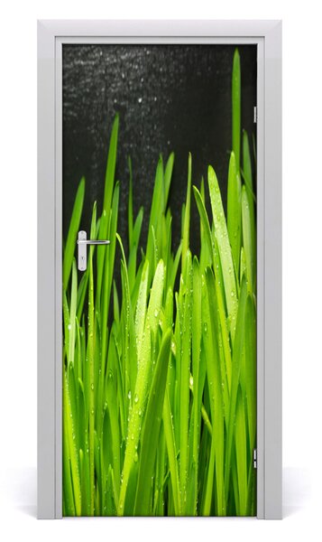 Fototapeta na dvere tráva 85x205 cm