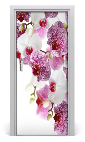 Fototapeta na dvere orchidea 85x205 cm