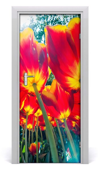 Fototapeta na dvere tulipány 85x205 cm