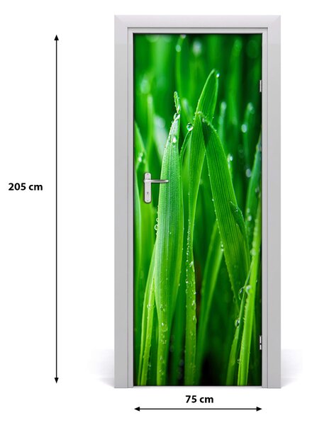 Fototapeta na dvere tráva 75x205 cm