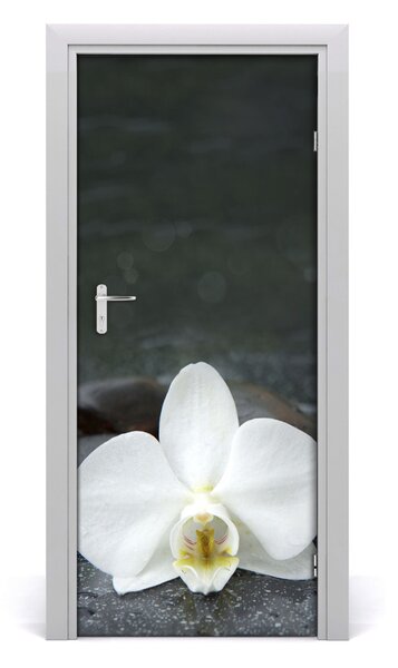 Fototapeta na dvere orchidea 85x205 cm