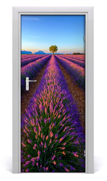 Fototapeta na dvere samolepiace poľa levanduľa 85x205 cm