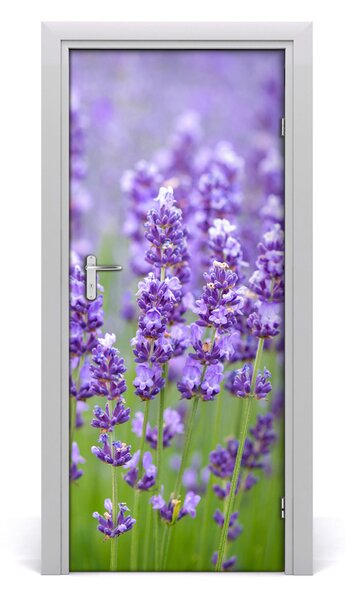 Fototapeta na dvere levanduľa polia 85x205 cm