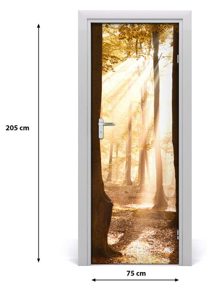 Fototapeta na dvere samolepiace les jeseň 75x205 cm