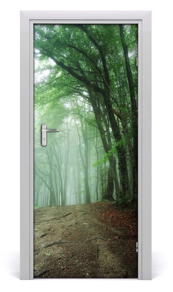 Fototapeta na dvere samolepiace hmla v lese 85x205 cm