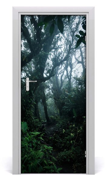 Fototapeta na dvere samolepiace dažďový les 85x205 cm