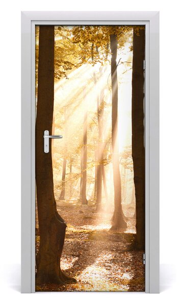 Fototapeta na dvere samolepiace les jeseň 85x205 cm