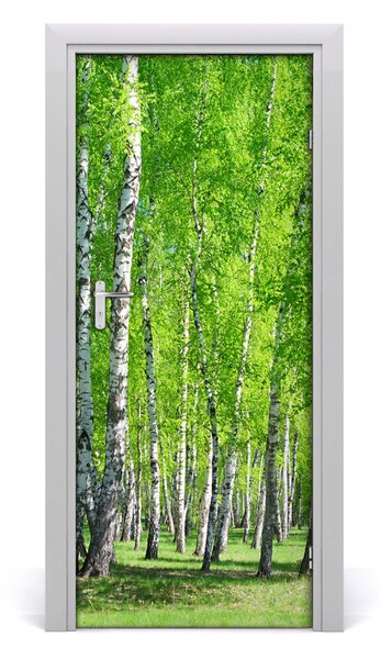 Fototapeta na dvere samolepiace Břízová les 85x205 cm