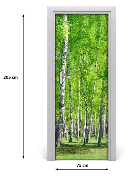 Fototapeta na dvere samolepiace Břízová les 75x205 cm